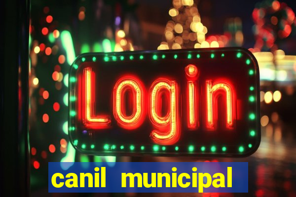 canil municipal porto alegre